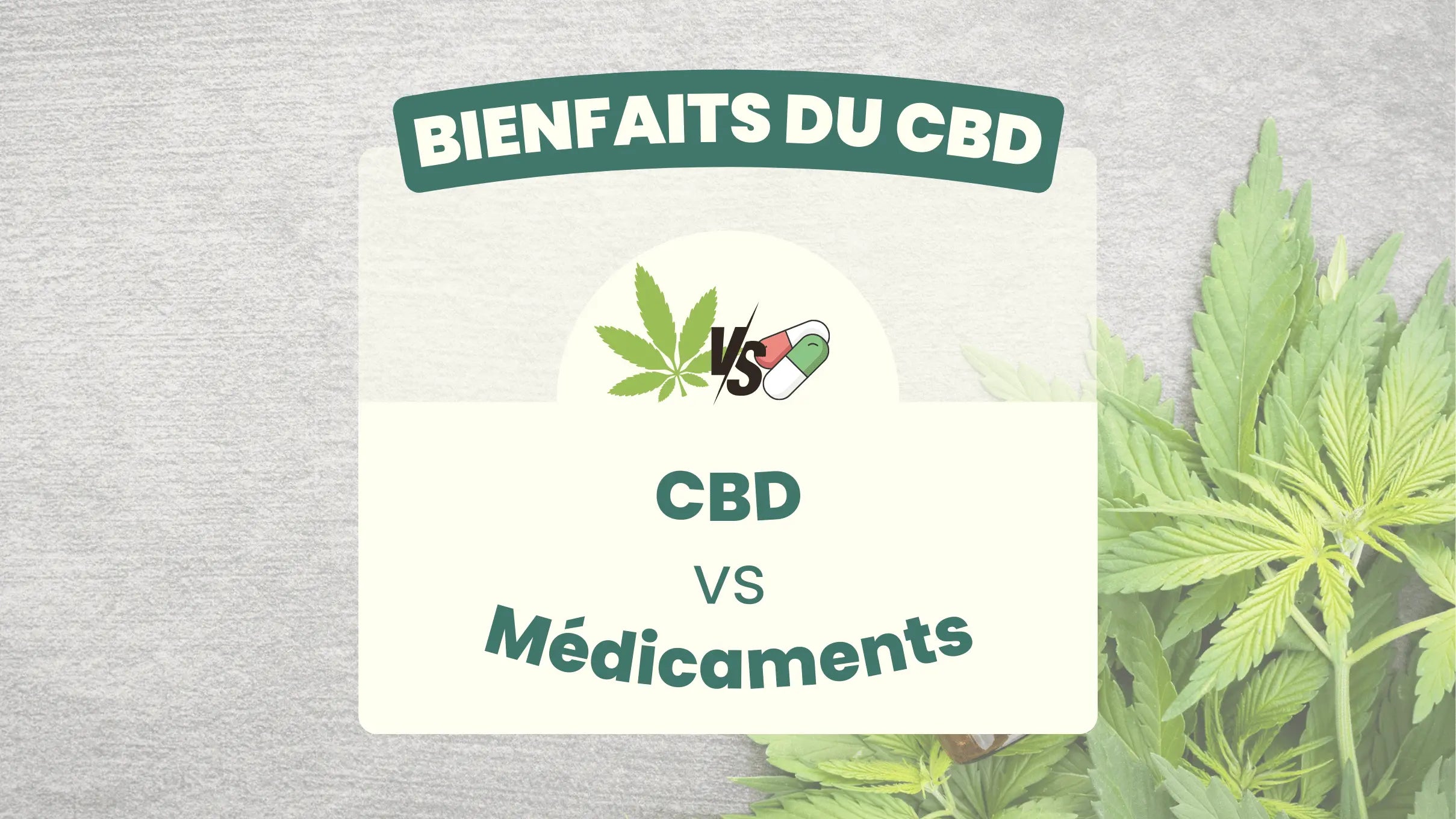 CBD-pour-animaux-Alternative-naturelle-aux-médicaments Friend'iz