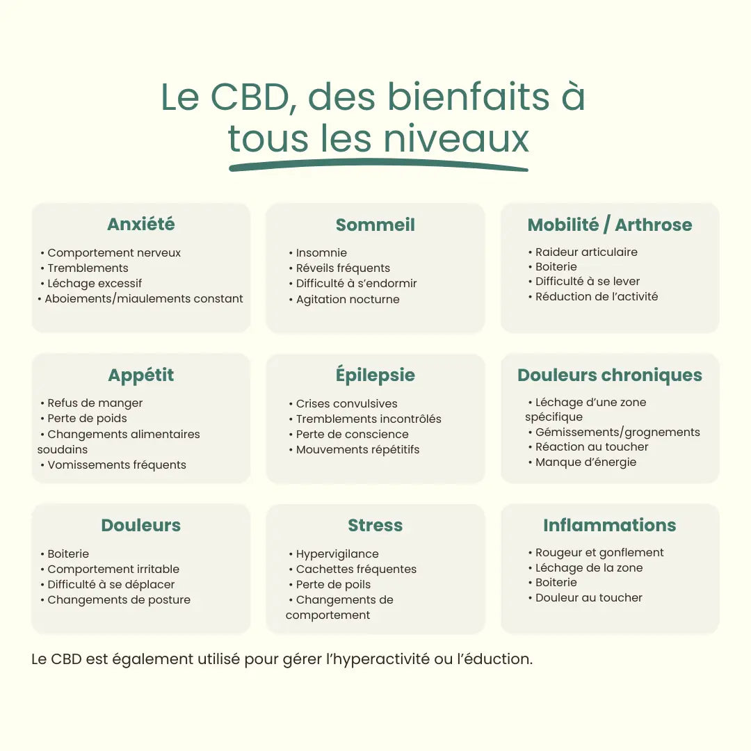 Huile CBD / Petit & Moyen chien Friend'iz