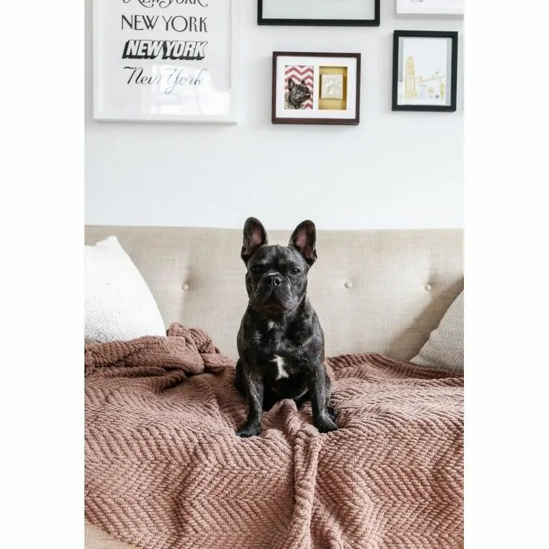 Cadre Photo Empreinte de Patte à personnaliser