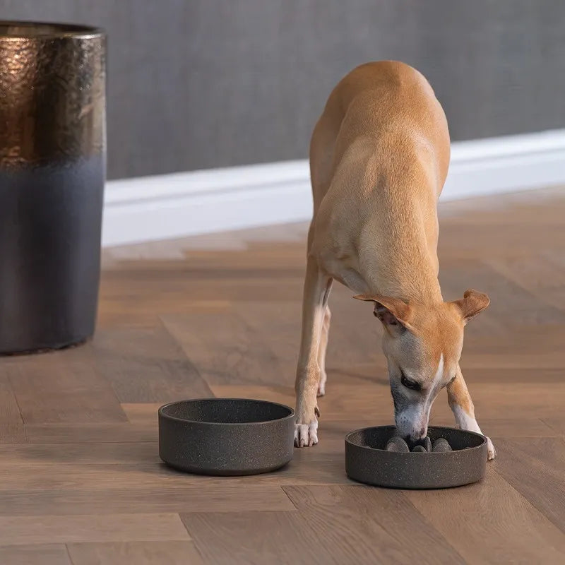 Friendiz Gamelle Design by Lotte – Chien 17 cm