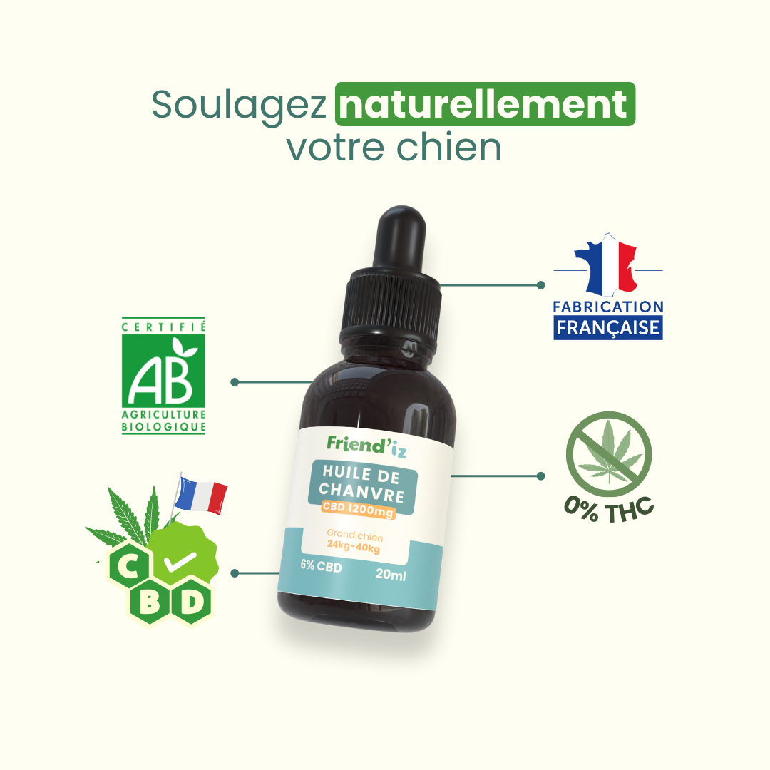 Huile de chanvre / Grand chien