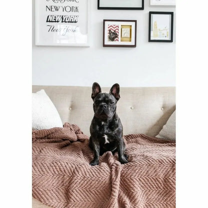 Cadre Photo Empreinte de Patte à personnaliser